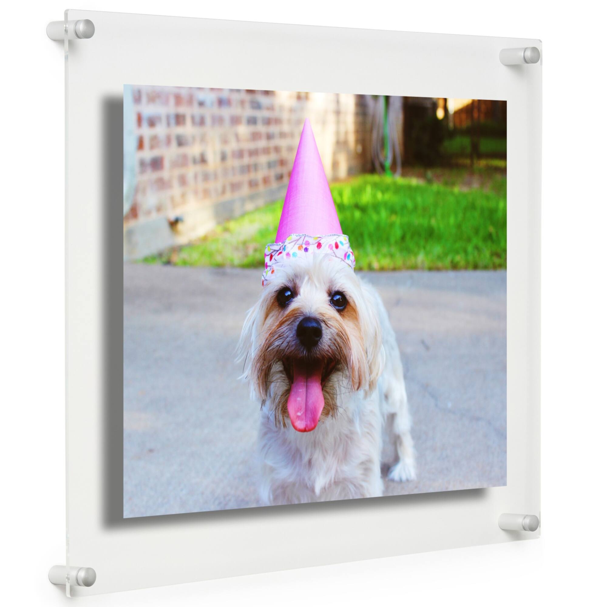 Cool Modern Frames Clear Acrylic Float Frame with Silver Hardware